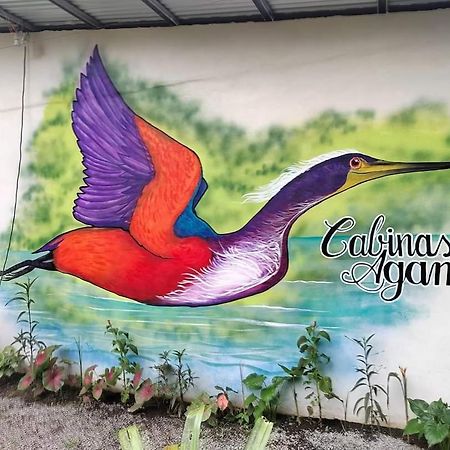 Cabinas Agamy Tortuguero Εξωτερικό φωτογραφία