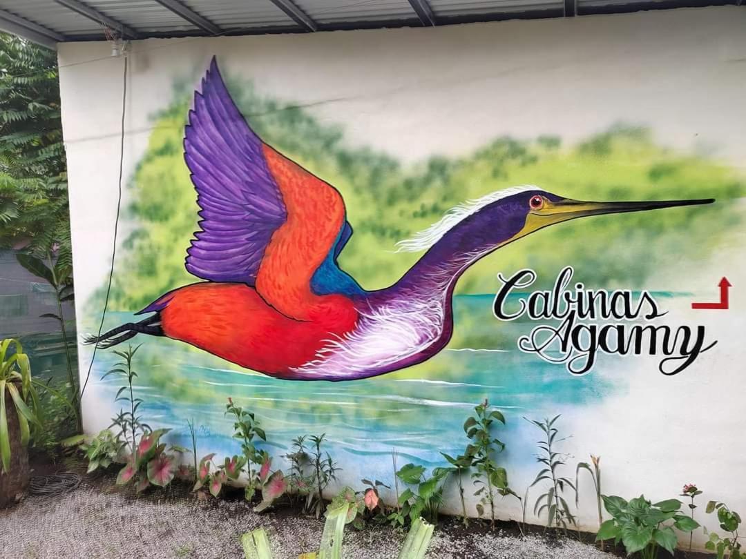 Cabinas Agamy Tortuguero Εξωτερικό φωτογραφία