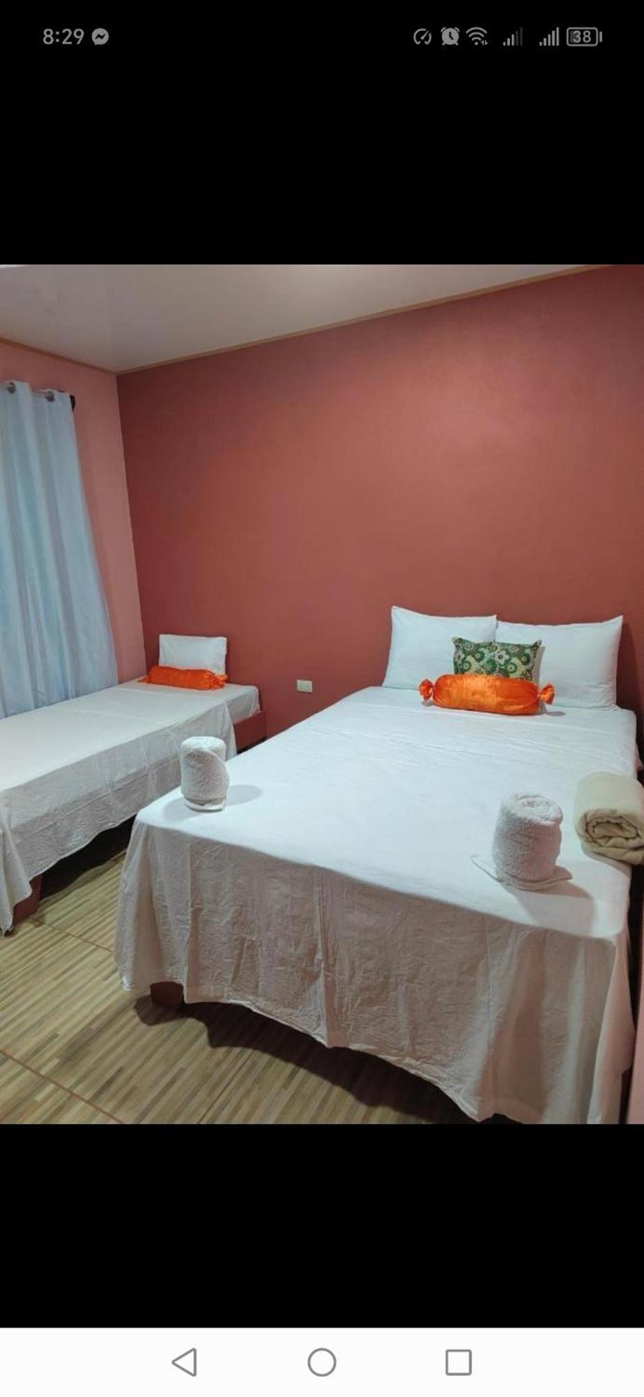 Cabinas Agamy Tortuguero Εξωτερικό φωτογραφία