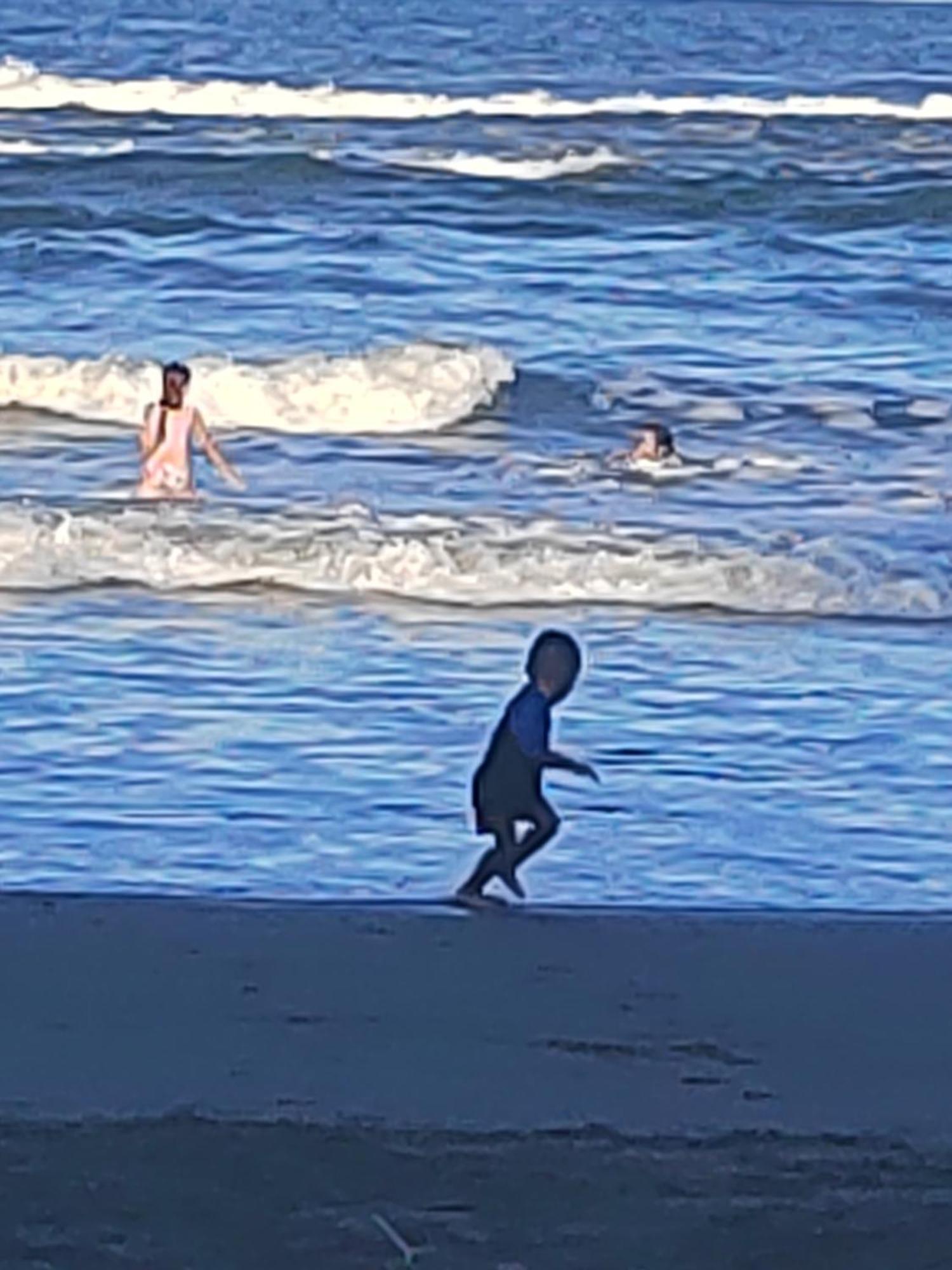 Cabinas Agamy Tortuguero Εξωτερικό φωτογραφία