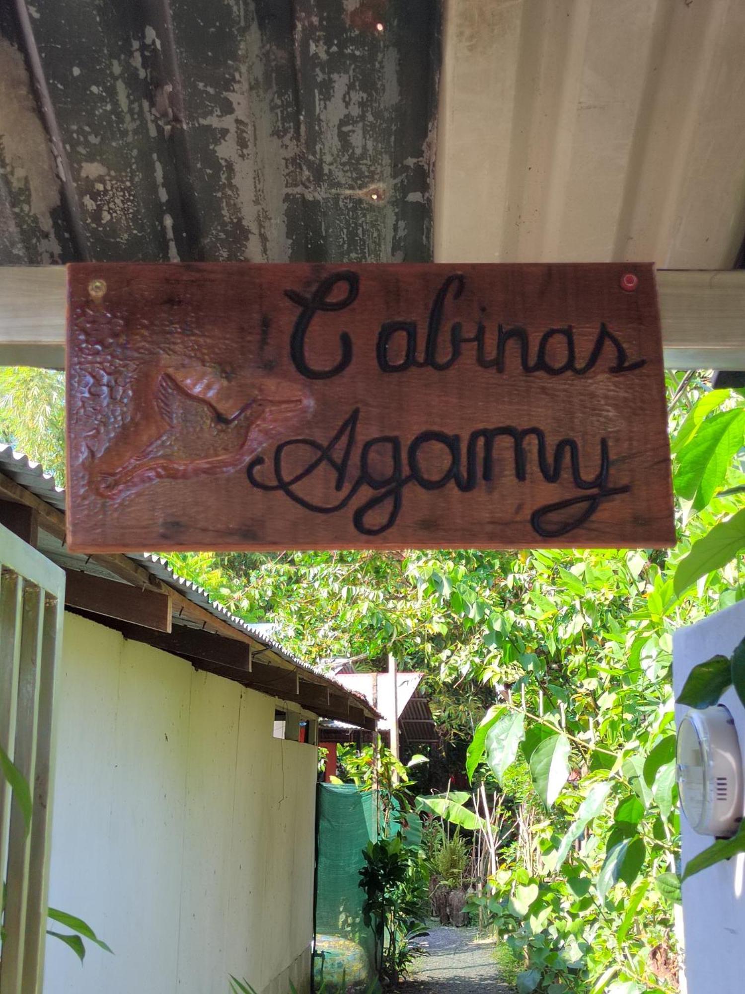 Cabinas Agamy Tortuguero Εξωτερικό φωτογραφία