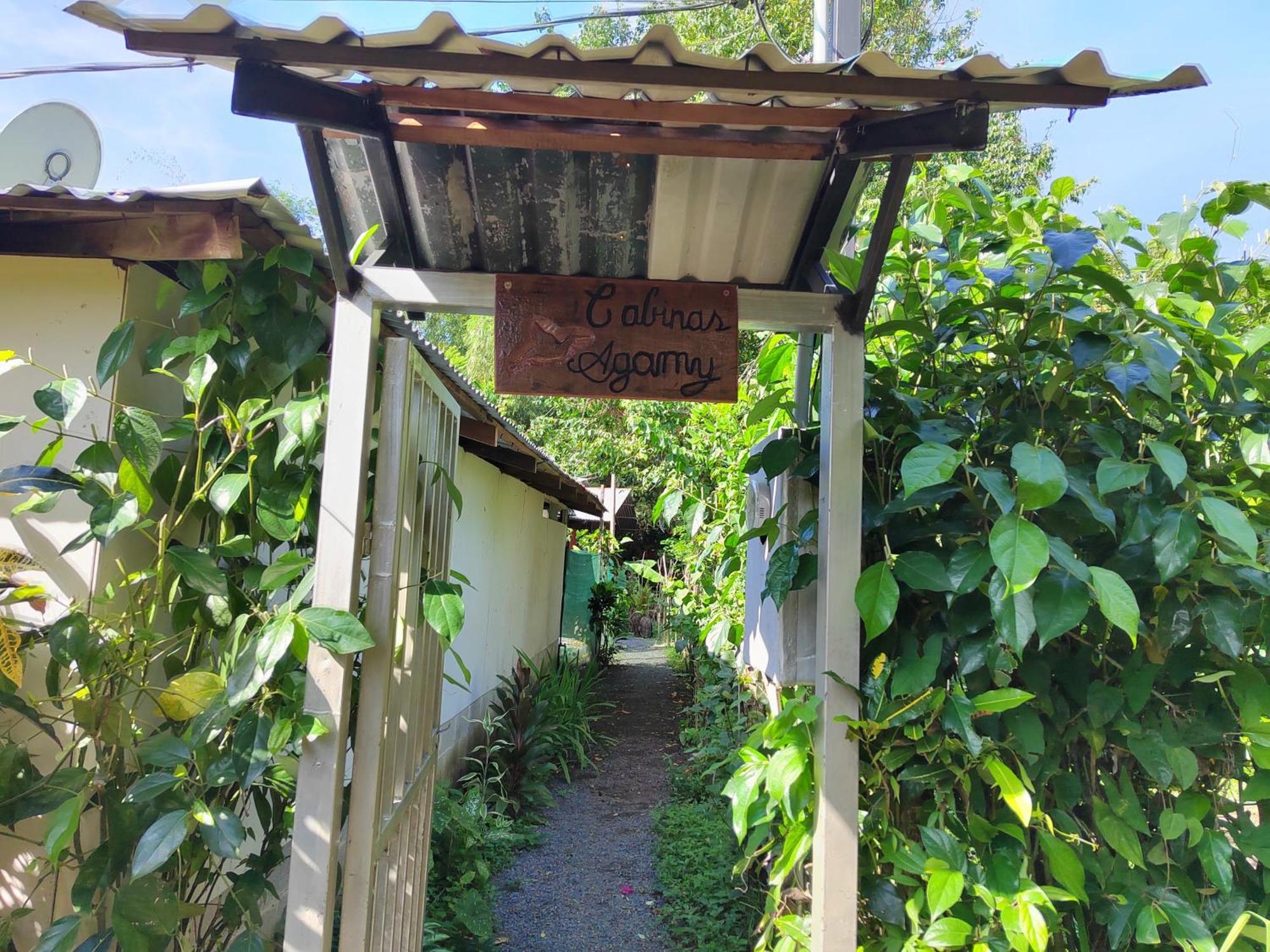 Cabinas Agamy Tortuguero Εξωτερικό φωτογραφία